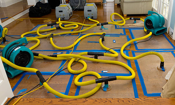 Professional Water Extraction technician working in Clementon, NJ